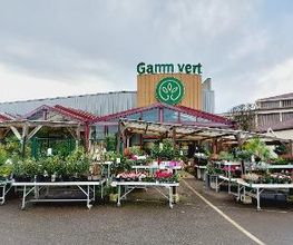 GAMM VERT image 2