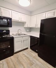 Elm Village Apartments image 6