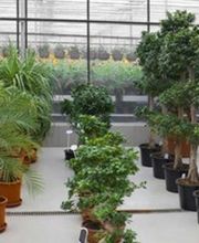 Les Serres Du Tregor image 2