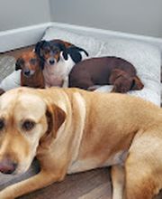 Grant Animal Clinic image 3