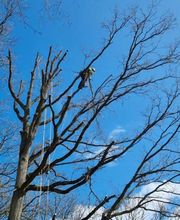 Entreprise Lecoq image 4