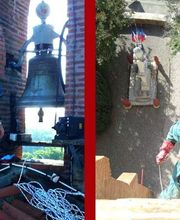 Stop Guêpes & Frelons image 7