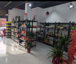 Gallery Cliente