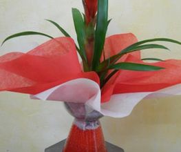 arreglo-bromelia-03.jpg