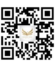Golden Swan Bild 3