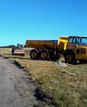 Cardinal Myriam image 8