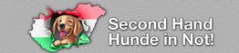 Second Hand Hunde in Not
