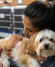 Santa Monica Pet Medical Center image 15