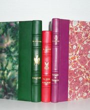 Seguin Charles Edouard image 7