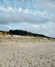 Leguay Johan image 2