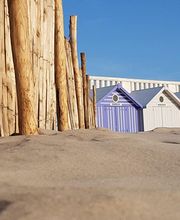 David Leveque image 2