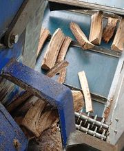 Taligot Jacky image 3