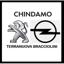 Chindamo Srl Opel - Peugeot logo