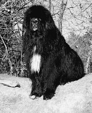 Sandrine Le Rest image 4