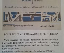 Dt Peinture image 1