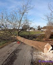 R.Evan Elagage Abattage image 5