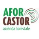 AFOR CASTOR Sagl