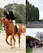 Ecurie des Reflets EARL image 3