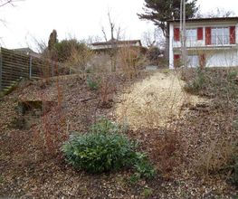 GMH Gartengestaltung Bild 9