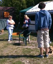 Hundeschule Mosig Bild 12