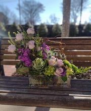Preston Flowers image 12