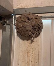 Stop Frelons image 14