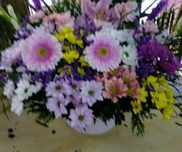197527914-1-50bCuz9Rsc1694424523714.jpeg