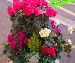 Au Jardin Fleuri image 17