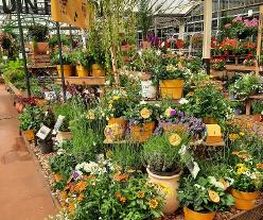 JARDILAND image 3