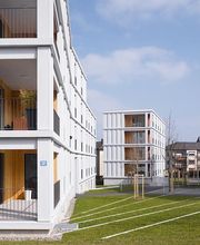 Zutter baumanagement GmbH Bild 2