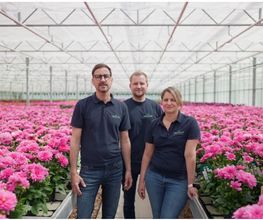 Dechant Gartenbau GmbH & Co. KG Bild 5