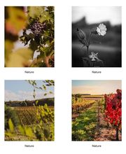 LaetiPhotographer image 4