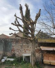 Le jardin de Paul image 1