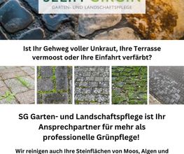 Pflasterreinigung