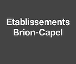 Brion-Capel image 2