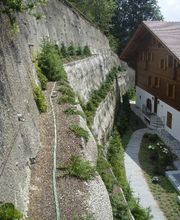 Oesch Fleurs & Jardins SA Bild 3