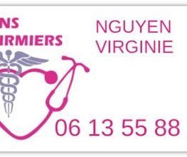 Nguyen Virginie image 2
