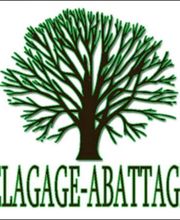 Debarre Elagage image 13