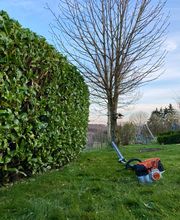 Baumdienst Behan Bild 4