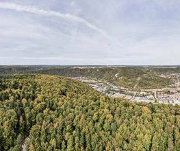 FriedWald Blaubeuren Bild 7