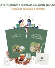 La Petite Plante image 16