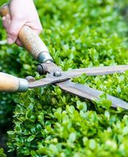 Entreprise Vert-Tige Bild 1