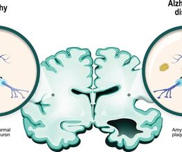 NeurologiePraxis dr. Celik Bild 4
