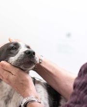 Hiram Animal Hospital image 7