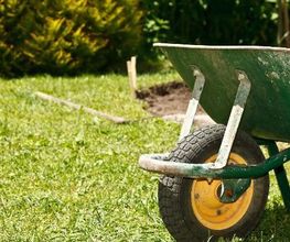 Hébert Bruno image 1