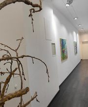 Rechtsanwalt Nicolai Walch LL.M. Bild 3