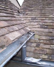 Momy Stéphane image 10