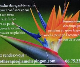 Pingon Amélie image 9