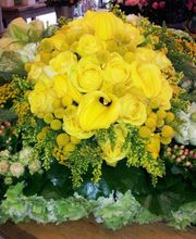 Birkner Blumen Bild 10