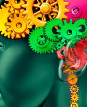 Dubreuil Nicolas image 5